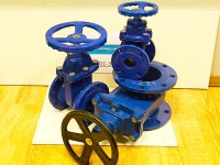 Задвижка Ду200мм 30с41нж (ЗКЛ-2-16), ручная - изображение